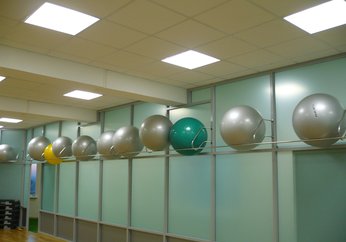 Ниша для мячей из нержавеющей стали, Зал гимнастики г.Новосибирск